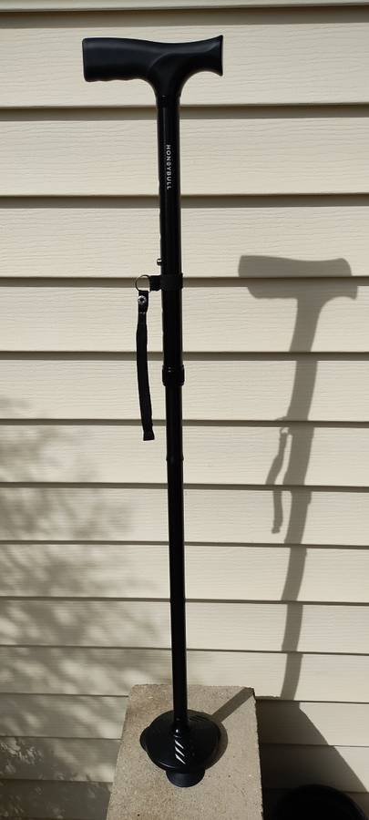 HONEYBULL WALKING CANE