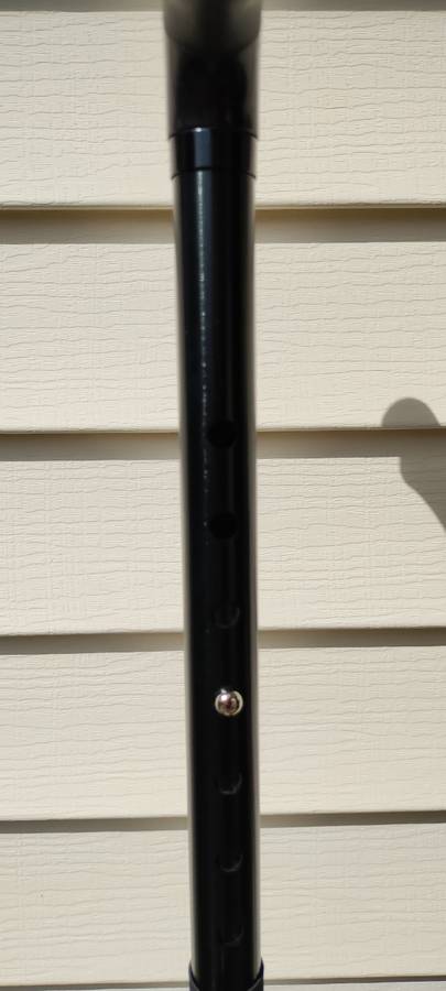 HONEYBULL WALKING CANE